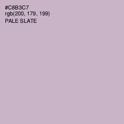 #C8B3C7 - Pale Slate Color Image
